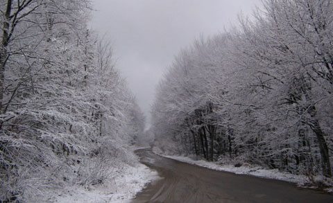 The country side during winter
